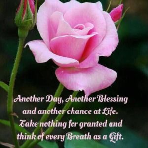 Meet your Posher, Jclothesline. Same day shipping